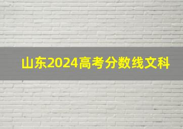 山东2024高考分数线文科