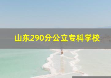 山东290分公立专科学校