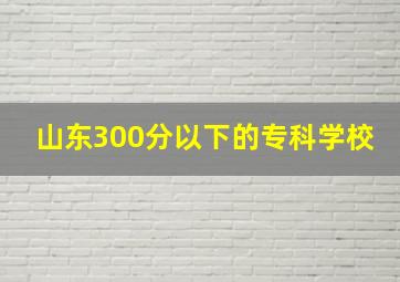 山东300分以下的专科学校