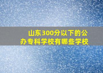 山东300分以下的公办专科学校有哪些学校