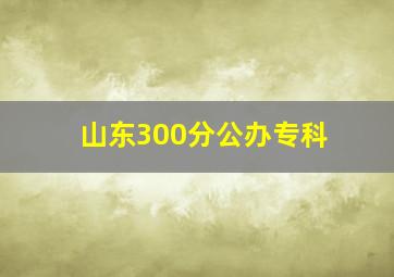 山东300分公办专科