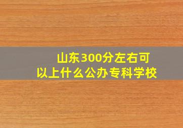 山东300分左右可以上什么公办专科学校