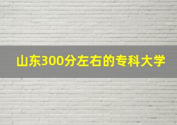 山东300分左右的专科大学