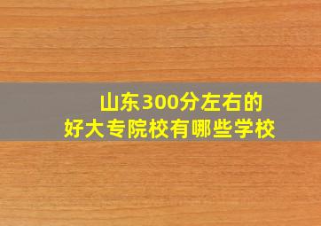 山东300分左右的好大专院校有哪些学校