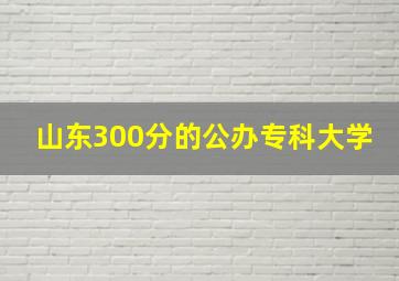 山东300分的公办专科大学