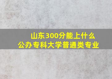 山东300分能上什么公办专科大学普通类专业