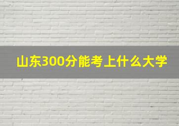 山东300分能考上什么大学