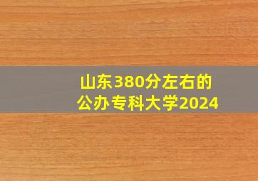 山东380分左右的公办专科大学2024