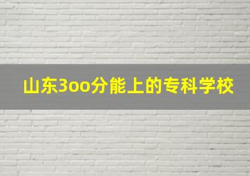 山东3oo分能上的专科学校