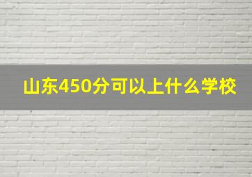 山东450分可以上什么学校