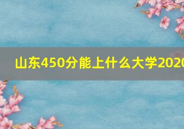 山东450分能上什么大学2020