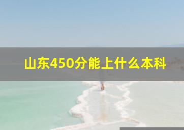 山东450分能上什么本科