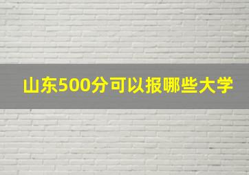 山东500分可以报哪些大学