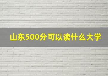 山东500分可以读什么大学