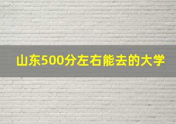 山东500分左右能去的大学