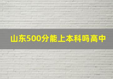 山东500分能上本科吗高中