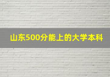 山东500分能上的大学本科