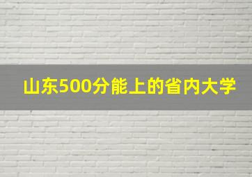 山东500分能上的省内大学