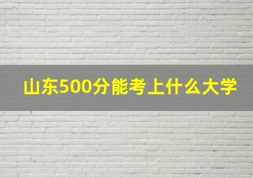 山东500分能考上什么大学