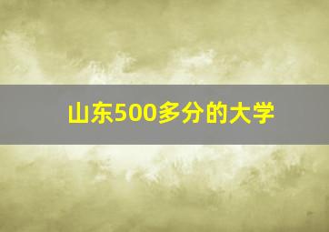 山东500多分的大学