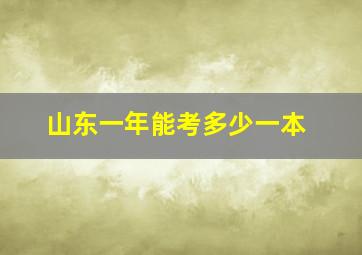 山东一年能考多少一本