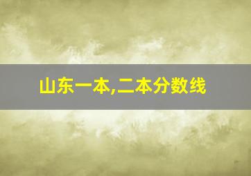 山东一本,二本分数线