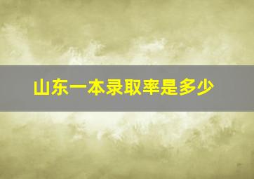 山东一本录取率是多少