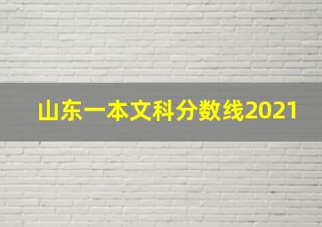 山东一本文科分数线2021