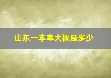 山东一本率大概是多少