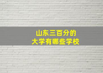 山东三百分的大学有哪些学校