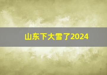 山东下大雪了2024