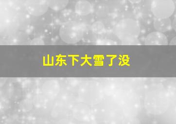 山东下大雪了没