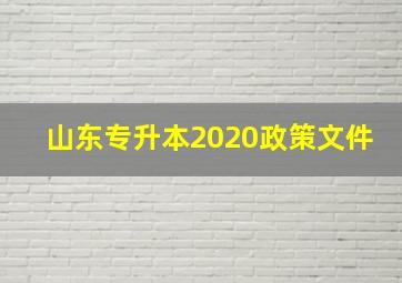 山东专升本2020政策文件