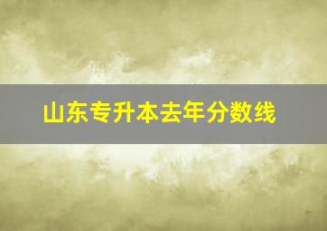 山东专升本去年分数线