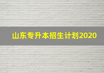 山东专升本招生计划2020