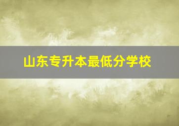 山东专升本最低分学校