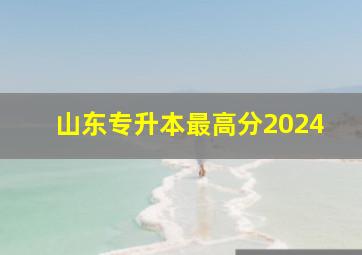 山东专升本最高分2024