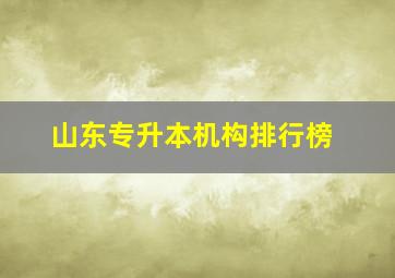 山东专升本机构排行榜