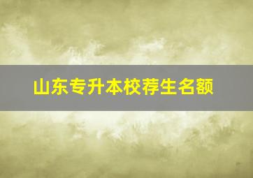 山东专升本校荐生名额