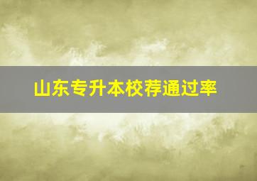 山东专升本校荐通过率