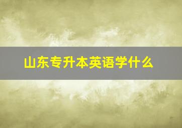 山东专升本英语学什么