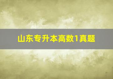 山东专升本高数1真题