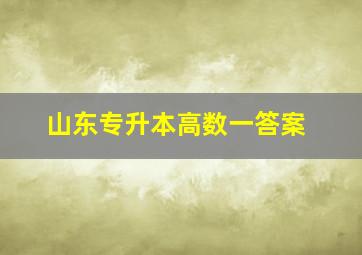 山东专升本高数一答案