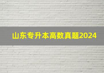 山东专升本高数真题2024