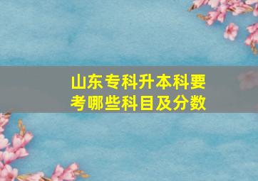 山东专科升本科要考哪些科目及分数