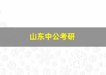 山东中公考研