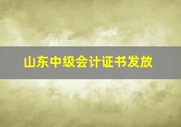 山东中级会计证书发放