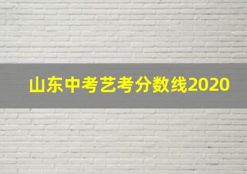 山东中考艺考分数线2020