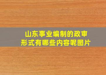 山东事业编制的政审形式有哪些内容呢图片