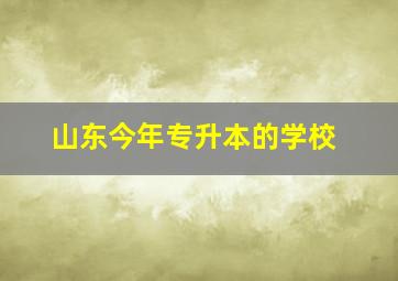 山东今年专升本的学校